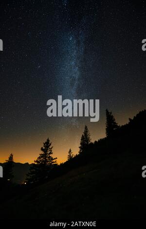 Milky Way devant un groupe d'arbres dans un paysage de montagne, Berwang, Lechtal, Ausserfern, Tyrol, Autriche Banque D'Images