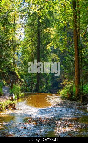 Sentier de randonnée près d'Ebenau, Ebenau, province de Salzbourg, Autriche Banque D'Images