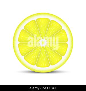 Coupe de citron réaliste isolée sur fond blanc. Illustration de Vecteur