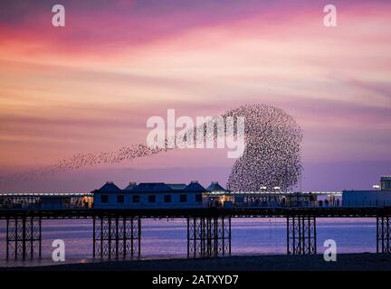 Brighton UK 5 février 2020 - Starlings crée des formes spectaculaires sur Brighton Palace Pier ce soir à leur murmuration quotidienne au crépuscule . Des conditions météorologiques mieux réglées sont prévues pour les deux prochains jours en Grande-Bretagne avant que le temps de tempête ne soit prévu pour arriver au week-end . Crédit: Simon Dack / Alay Live News Banque D'Images