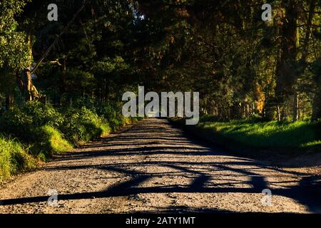 Route autour de Tabao et Tenjo Cundinamarca dans la savane de Bogota, près de Bogota Colombie Banque D'Images