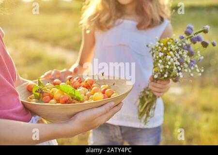 Récolte de cerises jaunes douces fraîches dans un bol dans les mains de la fille. Gros fruits biologiques naturels, fond de jour d'été, enfant avec bouquet de flo sauvage Banque D'Images