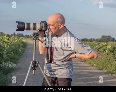 Un homme avec un appareil photo sur une route verte menant à travers des champs de tournesol. Pologne. Varsovie Banque D'Images