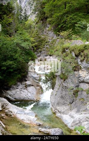 L'Ötschergräben est un canyon spéculaire près du mont Ötscher en Basse-Autriche Banque D'Images