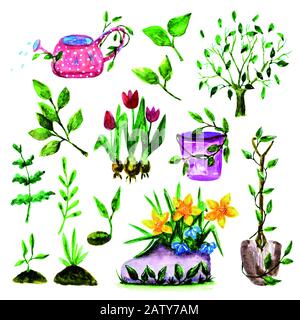 jeu d'outils de jardinage à ressort tracté à la main. illustration de l'aquarelle Banque D'Images