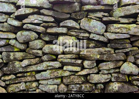 Une clôture en pierre avec lichens et mousses dans les montagnes Pocono de Pennsylvanie. Construit à l'origine au XIXe siècle pour désigner les limites de la terre et à la suite Banque D'Images
