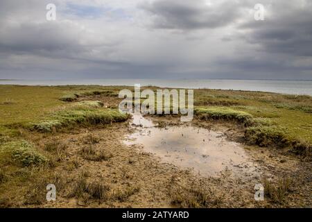 Marais furtif dans des conditions nuageux sur l'île frisonne d'Ameland Banque D'Images
