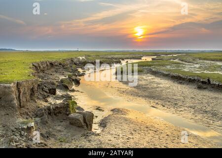 Chenal marécageux dans le marais salé avec système de drainage naturel sur l'île des wadden d'Ameland, en Frise, aux Pays-Bas Banque D'Images