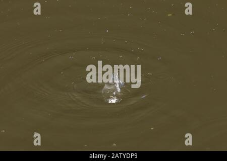 les éclaboussures faites par des gouttes d'eau dans un canal Banque D'Images