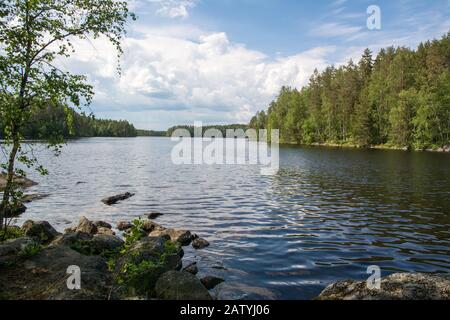 Lac dans un parc national de Finlande. Super endroit pour nager et faire du kayak ou du canoë. Un endroit calme sans personne - vous l'avez totalement à votre soi. Banque D'Images