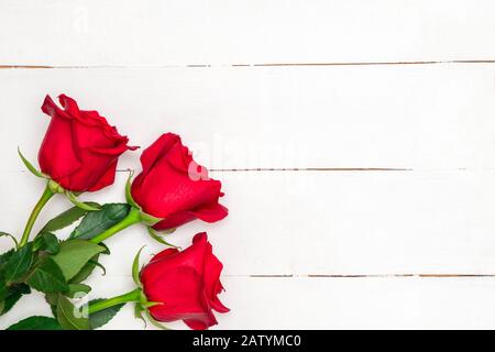 Roses rouges sur fond blanc en bois. Image avec espace de copie, vue de dessus. Banque D'Images