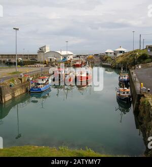 Des bâtiments portuaires et des bateaux amarrés dans le bassin intérieur lors d'une journée de printemps calme en Irlande au port de Port Oriel, sur la côte est de l'Irlande, à Co Louth. Banque D'Images