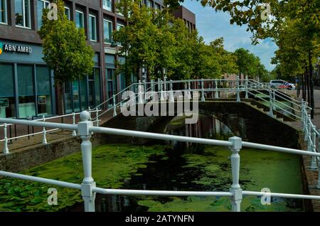 Delft, pays-bas, août 2019. Les canaux jolis et romantiques, plus petits qu'à Amsterdam. Les plantes aquatiques créent un tapis vert. Banque D'Images