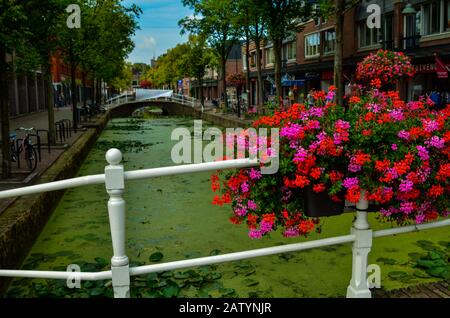 Delft, pays-bas, août 2019. Les canaux jolis et romantiques, plus petits qu'à Amsterdam. Les plantes aquatiques créent un tapis vert, les ponts Banque D'Images
