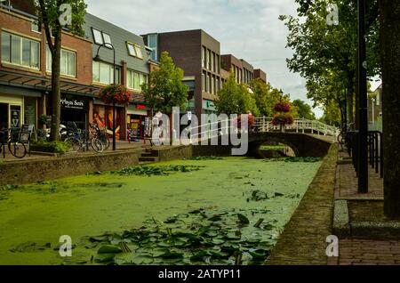 Delft, pays-bas, août 2019. Les canaux jolis et romantiques, plus petits qu'à Amsterdam. Les plantes aquatiques créent un tapis vert. Banque D'Images
