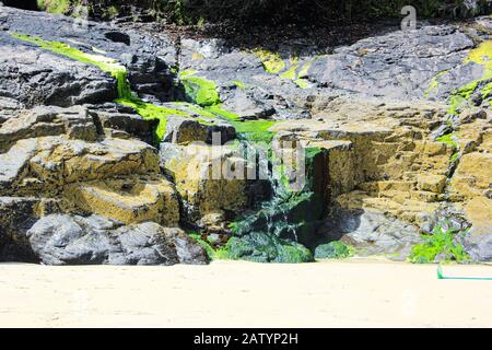 Une chute d'eau naturelle recouverte d'algues vert vif. Prise en été, Carbis Bay, Cornwall, Angleterre Banque D'Images