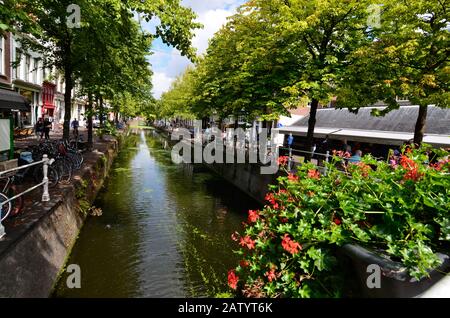 Delft, pays-bas, août 2019. Les canaux jolis et romantiques. Les plantes aquatiques créent un tapis vert, les ponts encadreront les boîtes de fleurs Banque D'Images