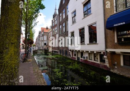 Delft, pays-bas, août 2019. Les canaux jolis et romantiques, plus petits qu'à Amsterdam. Les plantes aquatiques créent un tapis vert. Banque D'Images