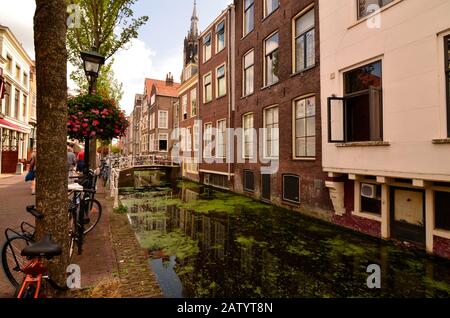 Delft, pays-bas, août 2019. Les canaux jolis et romantiques, plus petits qu'à Amsterdam. Les plantes aquatiques créent un tapis vert. Banque D'Images