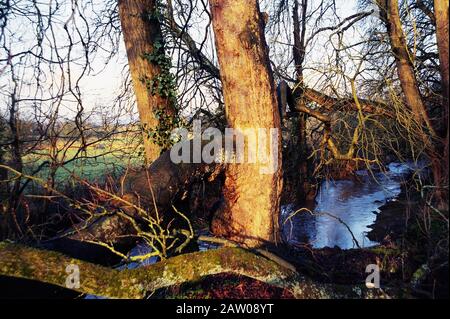 Flèche de la rivière Redditch UK Angleterre worcestershire Banque D'Images