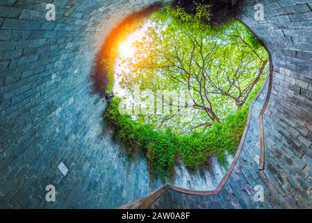 Fort Canning Park Sur Fort Canning Hill, Singapour. Banque D'Images
