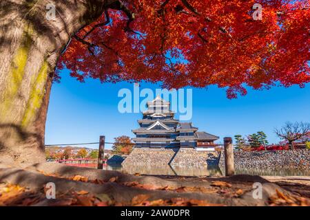 Bel Automne Du Château De Matsumo, Nagano, Japon Banque D'Images