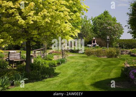 Acer - Maple Tree et allée de pelouse en herbe verte soignée menant à une femme assise sur un banc de béton blanc A côté d'un Syringa vulgaris - Lilac Banque D'Images