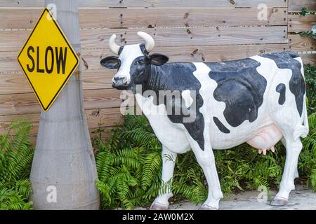 Hollywood Florida,marché vert jaune des fermiers,vache,statue,attirer l'attention,FL101031020 Banque D'Images