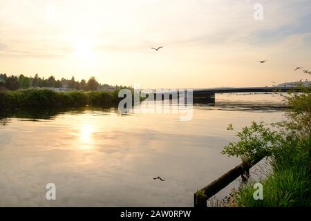 Coucher De Soleil Le Long Du Cedar River Trail Park, Renton Washington Banque D'Images