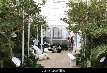 Bangkok, Thaïlande. 05 février 2020. Les visiteurs séjournent dans le pavillon « refuge de la zone » dans le cadre d'un festival de design. Le pavillon sera techniquement ventilé et les plantes fourniront également un climat de bien-être dans lequel respirer profondément. Le festival continuera à montrer le design et la créativité pour l'avenir dans toute la ville jusqu'au 08.02.2020 - avec des films, des expositions, de la musique live et des ateliers. (À dpa 'UN festival de design pour attraper votre souffle') crédit: Caroline Bock/dpa/Alay Live News Banque D'Images