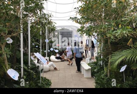 Bangkok, Thaïlande. 05 février 2020. Les visiteurs séjournent dans le pavillon « refuge de la zone » dans le cadre d'un festival de design. Le pavillon sera techniquement ventilé et les plantes fourniront également un climat de bien-être dans lequel respirer profondément. Le festival continuera à montrer le design et la créativité pour l'avenir dans toute la ville jusqu'au 08.02.2020 - avec des films, des expositions, de la musique live et des ateliers. (À dpa 'UN festival de design pour attraper votre souffle') crédit: Caroline Bock/dpa/Alay Live News Banque D'Images