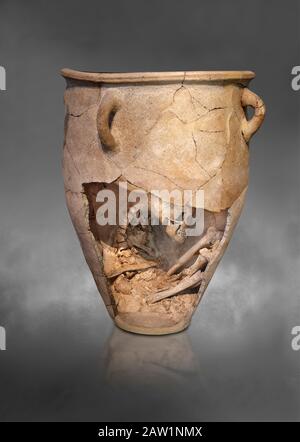 Le pitos funéraire en argile Minoenne avec squelette en fœtus, période néopalatiale 1700-1450 av. J.-C.; Musée archéologique d'Héraklion, fond gris. Le corps Banque D'Images