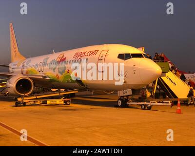 Aéroport D'Adana, Turquie - Janvier 2020. Pegasus Airlines Boeing 737-800 avec une meneur de dessin enfant à l'aérodrome. Banque D'Images