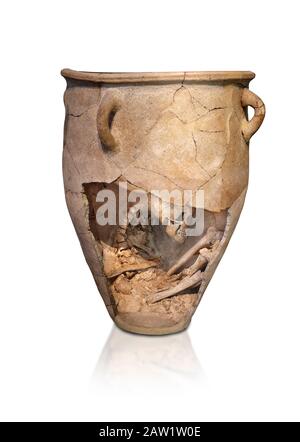 Le pitos funéraire en argile Minoenne avec squelette en fœtus, période néopalatiale 1700-1450 av. J.-C.; Musée archéologique d'Héraklion, fond blanc. Le corps Banque D'Images