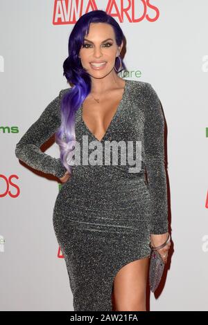 25 janvier 2020, Las Vegas, NV, États-Unis: Las VEGAS - 12 JANVIER: Foxxy au 2020 AVN (Adult Video News) Awards au Hard Rock Hotel & Casino le 12 janvier 2020 à Las Vegas, NV (Credit image: © Kay Blake/ZUMA Wire) Banque D'Images