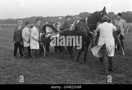 Championnat de course de trotting Pays-Bas-Belgique 1968 Duindigt description: Cheval et pikeur entouré de spectateurs Date: 30 septembre 1968 lieu: Wassenaar, Zuid-Holland mots clés: Chevaux de trotting et de course Banque D'Images