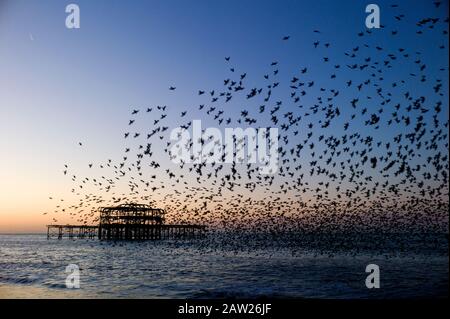 Murmuration de Starling sur West Pier, Brighton Banque D'Images