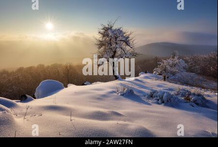Beau paysage d'hiver dans les montagnes. Lever du soleil Banque D'Images