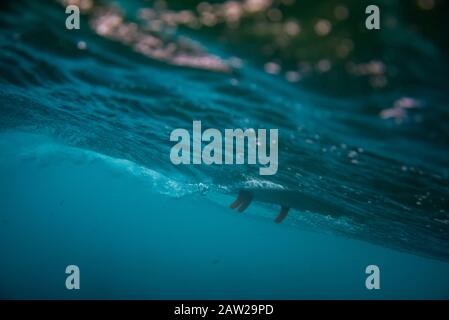 Onde de canon sous l'eau avec planche de surf. Océan sous l'eau Banque D'Images