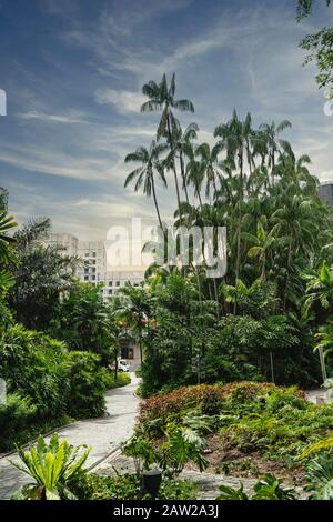 Singapour. Janvier 2020. Vue panoramique sur la nature dans le parc d'Istana Banque D'Images