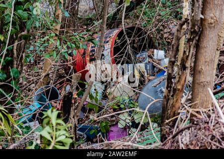 Canettes en métal domestique et ordures en plastique et déchets couchés dans l'herbe dans les bois Banque D'Images