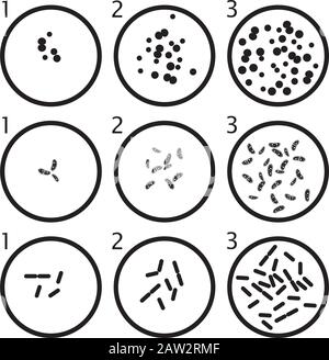 stades de croissance des bactéries vectorielles. cellules de bactéries noires dans des boîtes de petri isolées sur fond blanc Illustration de Vecteur