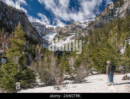 Charleston Peak Massif, à distance, vue en avril de Mary Jane Falls Trail, Spring Mountains National Recreation Area, Nevada, États-Unis Banque D'Images