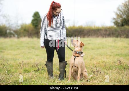 Promener son chien Femme Banque D'Images