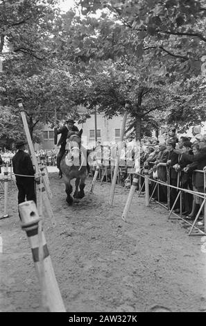 Visite Royale À Zeeland. Ring Stabbing Date : 14 septembre 1967 lieu : Zeeland mots clés : Ring STABBING, visite Banque D'Images