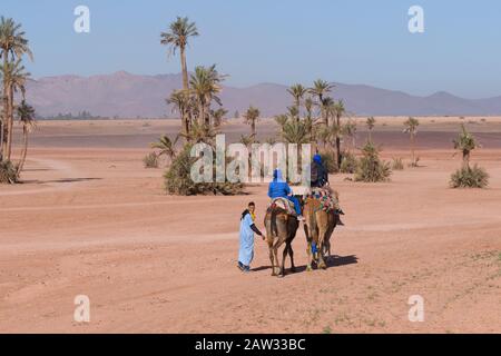 Un guide berbère local qui vous guide pour un safari à dos de chameau dans les déserts et les palmeraies près de Marrakech, Maroc, Afrique du Nord Banque D'Images