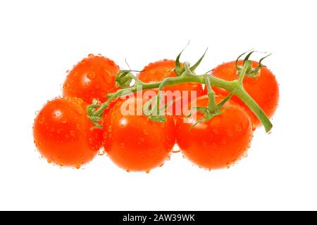 truss de tomates rouges isolés sur fond blanc Banque D'Images