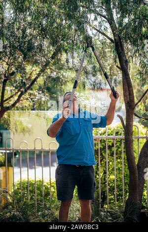 Homme senior coupe des branches d'arbres de tonte à l'extérieur dans le jardin. Banque D'Images