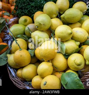Citrons biologiques dans le panier de saule en osier à vendre dans la petite rue du marché Banque D'Images