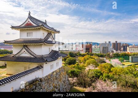 Akashi, Hyogo, tour du château du Japon et paysage urbain du centre-ville avec cerisiers en fleurs au printemps. Banque D'Images